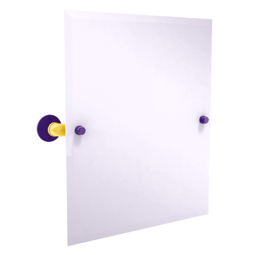 Collegiate Collection Frameless Rectangular Wall Mounted Tilt Mirror Bayou Bold Edition