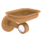 Clearview Collection Wall Mounted Soap Dish Holder