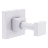 Argo Robe Hook