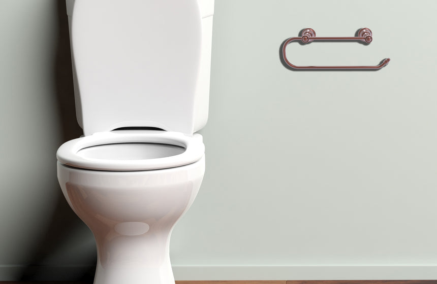 The Appeal of No-Roll Toilet Paper Holders