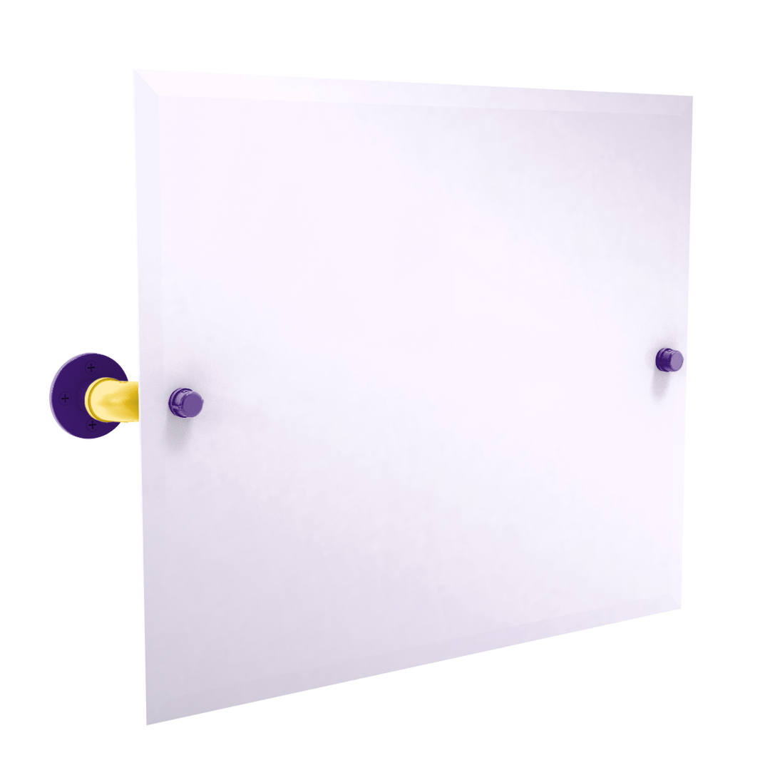 Collegiate Collection Landscape Rectangular Wall Mounted Tilt Mirror Bayou Bold Edition