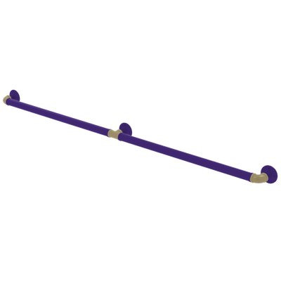 Collegiate Collection Extended 3 Post Grab Bar Seattle Purple and Gold Edition