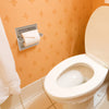 Carolina Collection Recessed Toilet Paper Holder