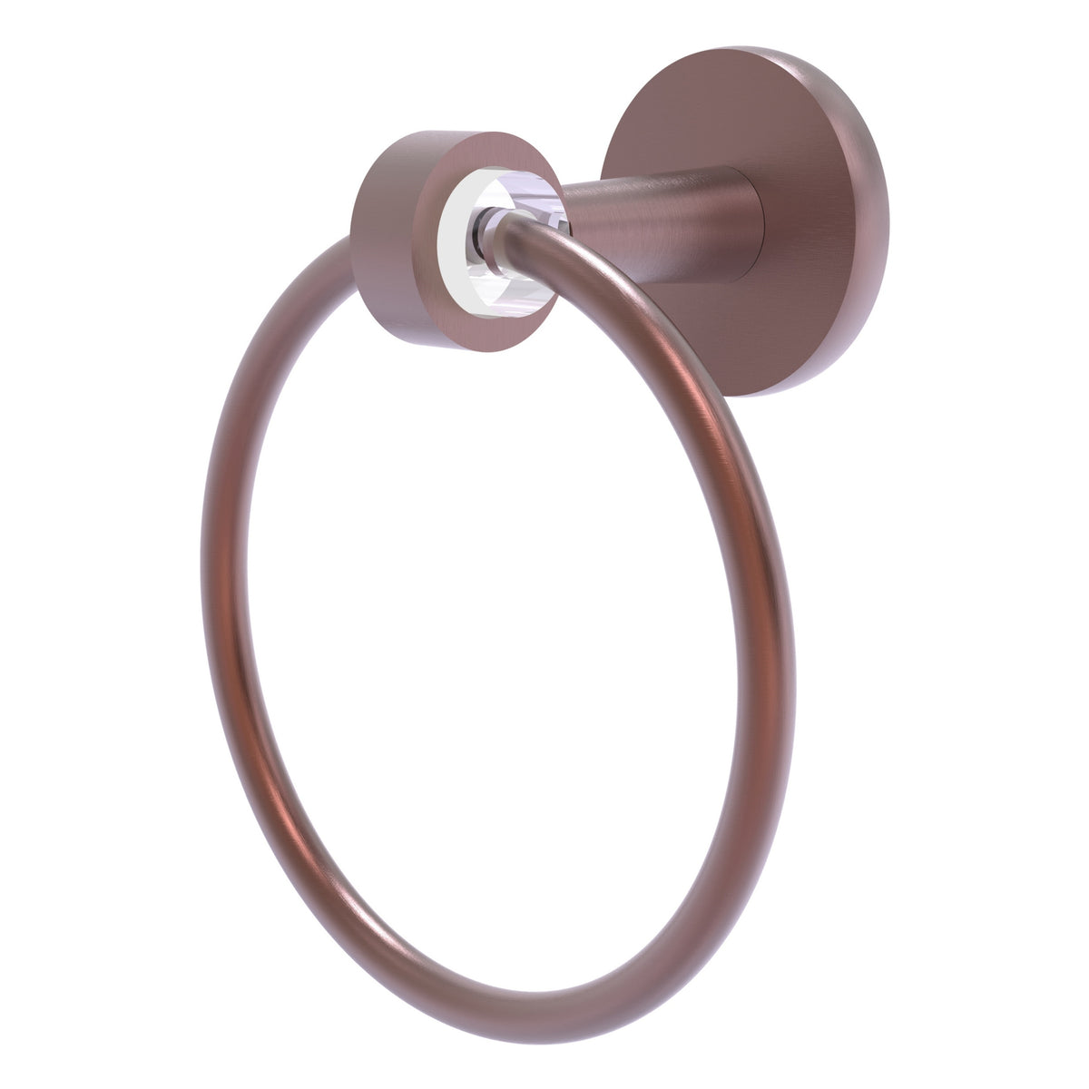 Clearview Towel Ring
