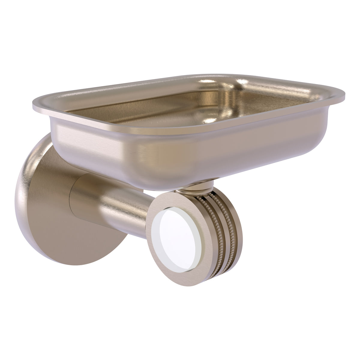 Clearview Collection Wall Mounted Soap Dish Holder
