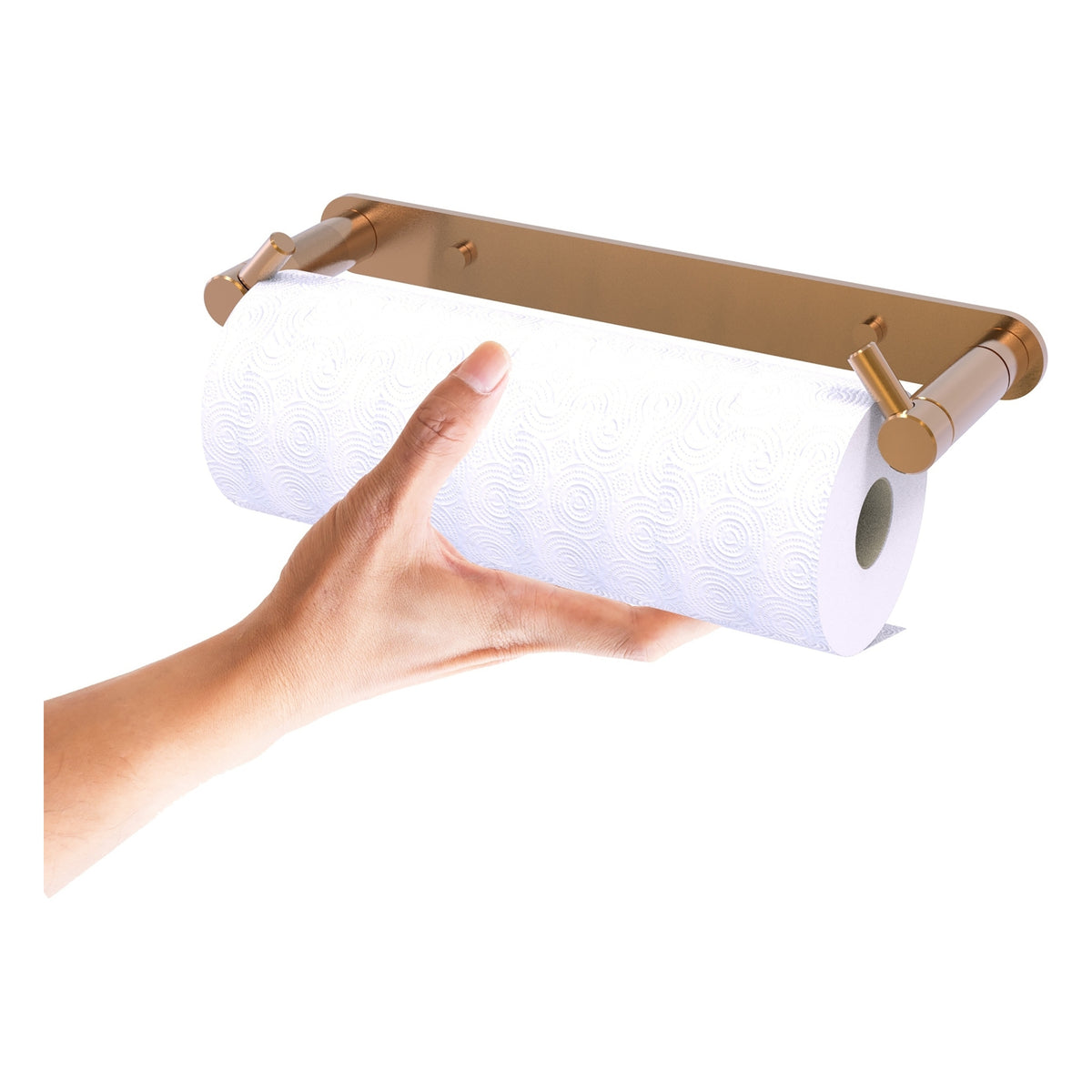 Fresno Collection Wall Mounted Rollerless Paper Towel Holder