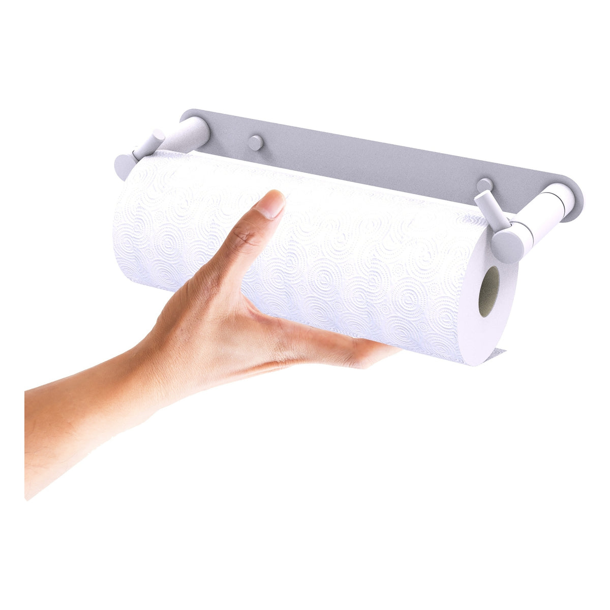 Fresno Collection Wall Mounted Rollerless Paper Towel Holder